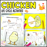 Chicken Life Cycle Activities