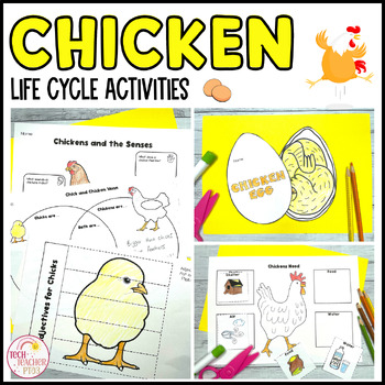 Preview of Chicken Life Cycle Activities