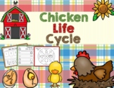 Chicken Life Cycle