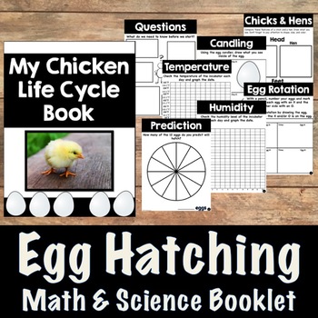 Preview of Chicken Life Cycle Book- Math and Science Integration for Hatching Eggs