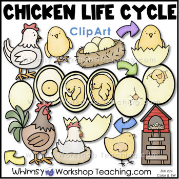 Preview of Chicken Life Cycle Clip Art Whimsy Workshop Teaching