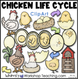 Chicken Life Cycle Clip Art Whimsy Workshop Teaching