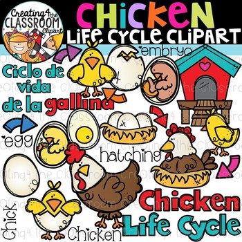 Preview of Chicken Life Cycle Clipart {Life Cycles Clipart}