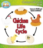 Chicken Life Cycle Clipart {Zip-A-Dee-Doo-Dah Designs}