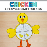 Chicken Life Cycle Craft