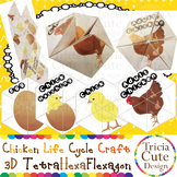 Chicken Life Cycle Craftivity –3D TetraHexaFlexagon Kaleid