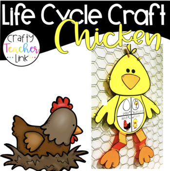 Preview of Chicken Life Cycle Craftivity