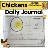 Chicken Life Cycle Daily Journals 
