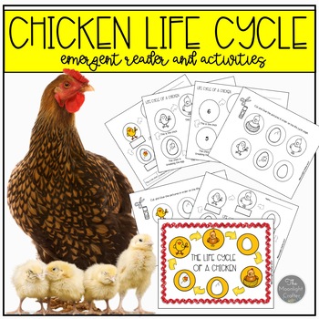 Preview of Chicken Life Cycle Emergent Reader and Activities