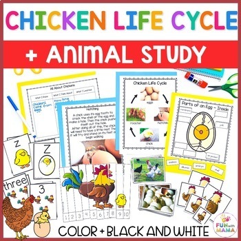 Preview of Chicken Life Cycle Facts Activities & Worksheets | Science Theme | PreK to 2nd