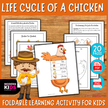 Preview of Chicken Life Cycle - Foldable Activity Worksheet