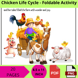 Chicken Life Cycle - Foldable Activity printable