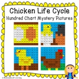 Chicken Life Cycle Hundred Chart Mystery Pictures (Egg, Ha