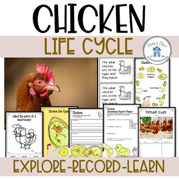 Preview of Chicken Life Cycle Activities and Worksheets
