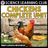 Chicken Life Cycle Kindergarten Science First Grade
