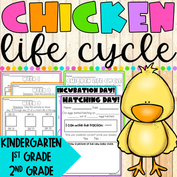 Preview of Chicken Life Cycle Life Cycle of a Chicken Hatching Chicks Chick Activities