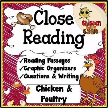 Preview of Chicken Life Cycle Literacy Unit {Reading Passages, Vocabulary & Posters}