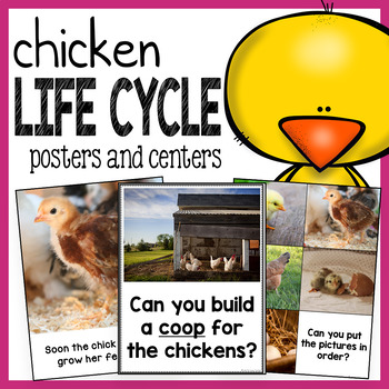 Preview of Chicken Life Cycle - Literacy and STEM Activities