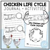 Chicken Life Cycle Observation Journal | Chicken Craft + A