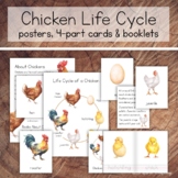 Chicken Life Cycle Pack