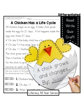 Preview of Chicken Life Cycle - Reading with Coordinating Writing Unit and Craft