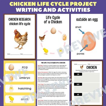 Preview of Chicken Life Cycle Research Project Report - Information Report Activities