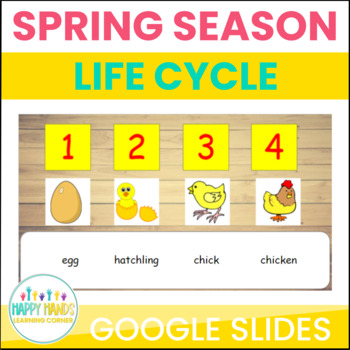 Preview of Chicken Life Cycle Science Activity 