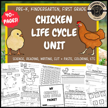 Preview of Chicken Life Cycle Science Worksheets Chickens PreK Kindergarten First TK