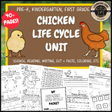 Chicken Life Cycle Science Worksheets Chickens PreK Kinder