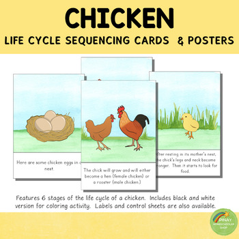 Preview of Chicken Life Cycle Sequencing Cards and Posters