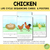 Chicken Life Cycle Sequencing Cards and Posters