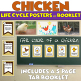Chicken Life Cycle Unit Activities