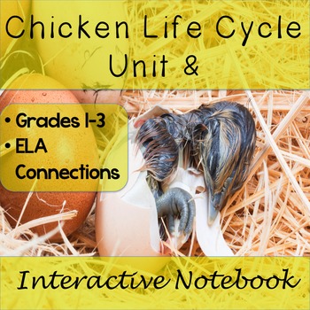 Preview of Chicken Life Cycle Unit and Interactive Notebook Grades 1 - 3