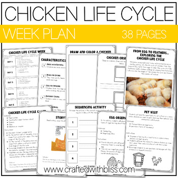 Preview of Chicken Life Cycle Week Unit Plan Science K-2 Craft Worksheet