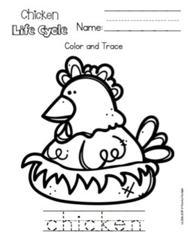 Chicken Life Cycle for Toddlers by Preschool Printable | TpT