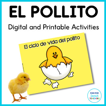 Preview of Chicken Life Cycle in Spanish - El Pollito/Los Pollitos