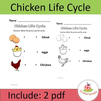 Chicken Life Cycle worksheet-Matching Activity by Primarystem | TPT