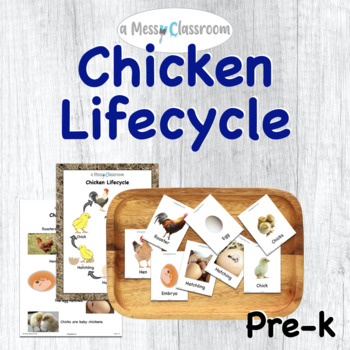 Preview of Chicken Lifecycle Thematic Unit Lesson Plan