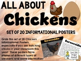 Chicken Posters - Information Sheets for 20 Species