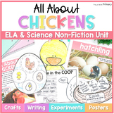 Chicken Life Cycle Craft & Worksheets Science Unit, Readin