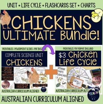 Preview of Chicken Unit Ultimate Bundle - life cycle flashcards lessons reports charts