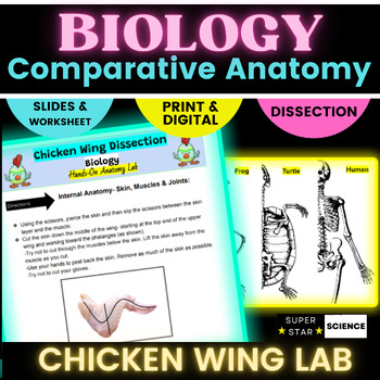 Preview of Chicken Wing Dissection Biology Slides & Anatomy Lab FUN Hands On Activity MYP