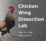 Chicken Wing Dissection Lab - Comparative Anatomy, Evoluti