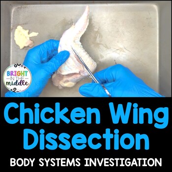 Preview of Chicken Wing Dissection - Skeletal System and Muscular System