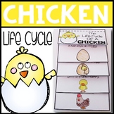 Chicken life cycle flip book