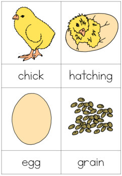 chicken math list