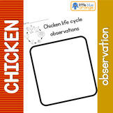 Chicken Life Cycle Worksheet | Teachers Pay Teachers