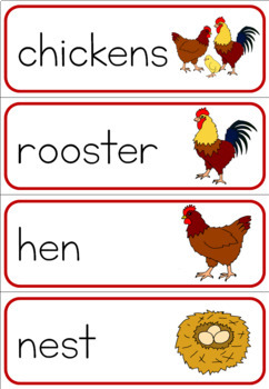 chicken life cycle wordwall