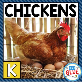 Preview of Life Cycle of a Chicken | Chickens : An Animal Study | Kindergarten Science