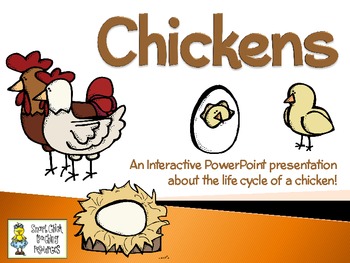 Preview of Chickens ~ An Interactive PowerPoint Presentation of Their Life Cycle